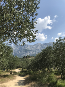 Podgora Magarskan Riviera, Kroatia